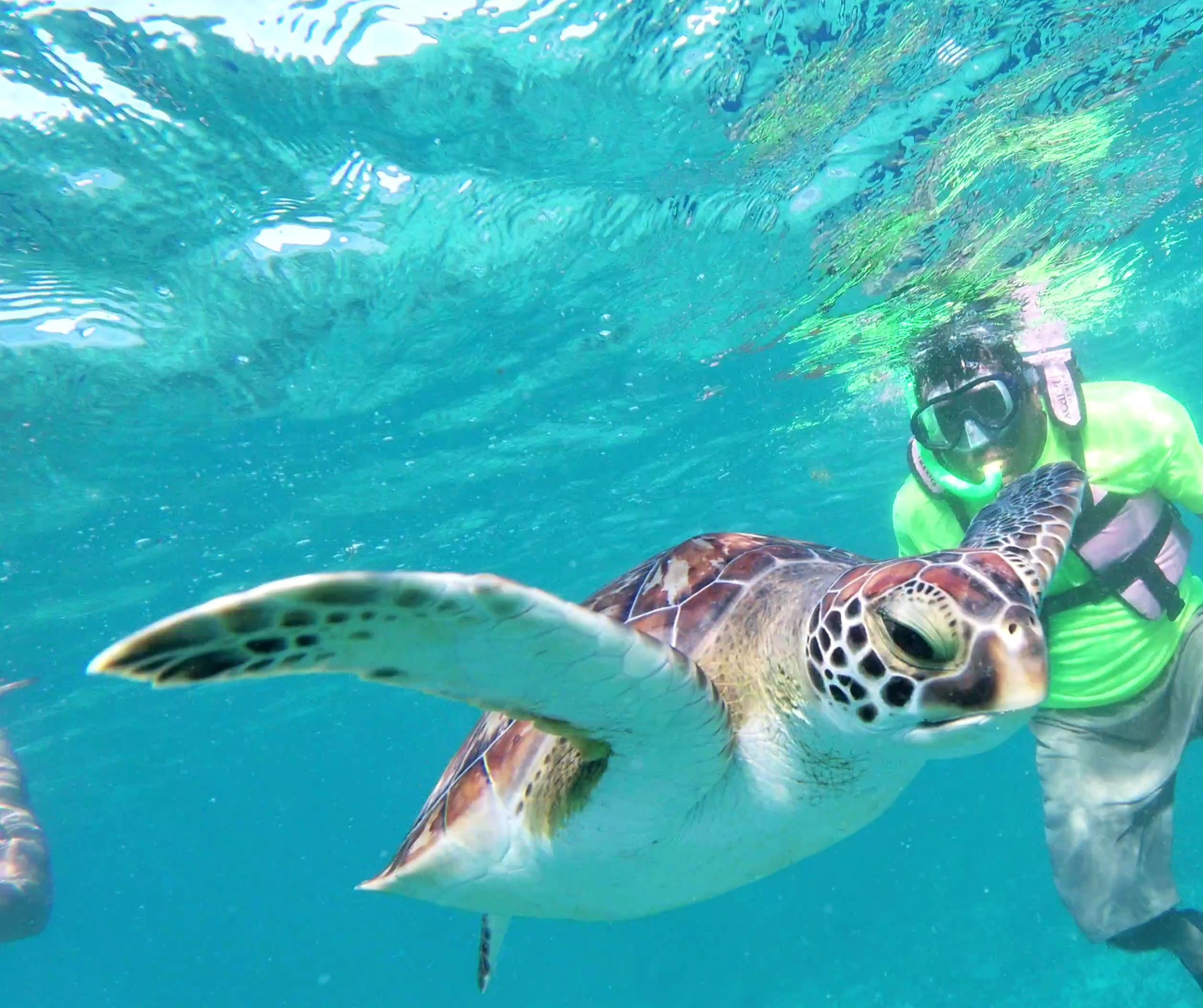 Snorkeling PLUS Tour